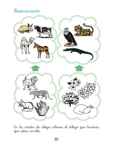 Matemáticas fáciles 11