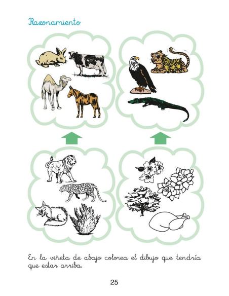 Matemáticas fáciles 11