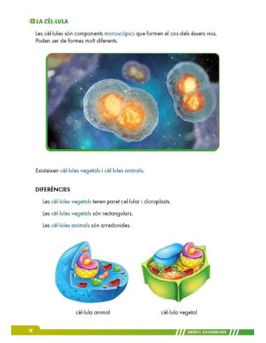 Ciències de la naturalesa 5. Adaptació amb suports visuals