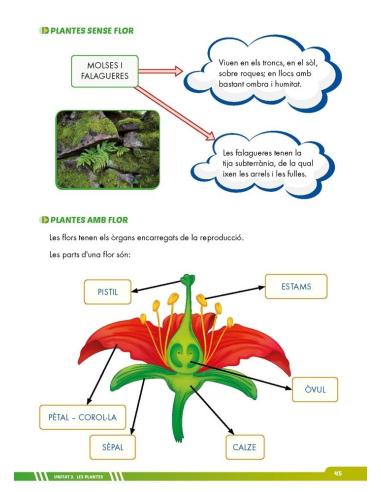 Ciències de la naturalesa 5. Adaptació amb suports visuals