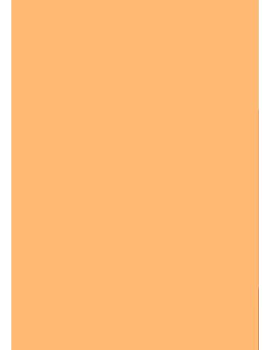 Caligrafía 5 · Pauta Montessori