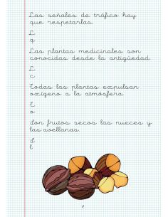 Caligrafía 20. Cuadrícula 2