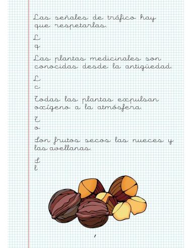 Caligrafía 20. Cuadrícula