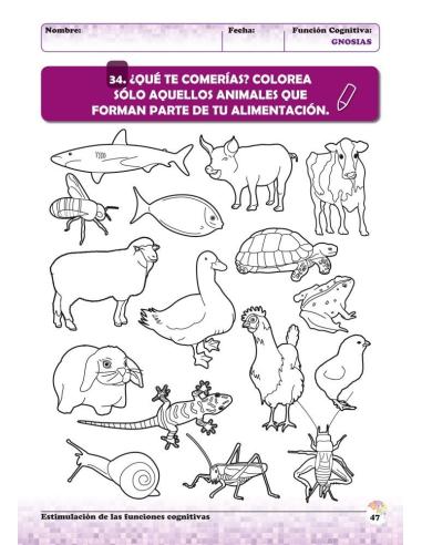 Estimulación de las funciones cognitivas. Nivel 2. Cuaderno 3: Gnosias