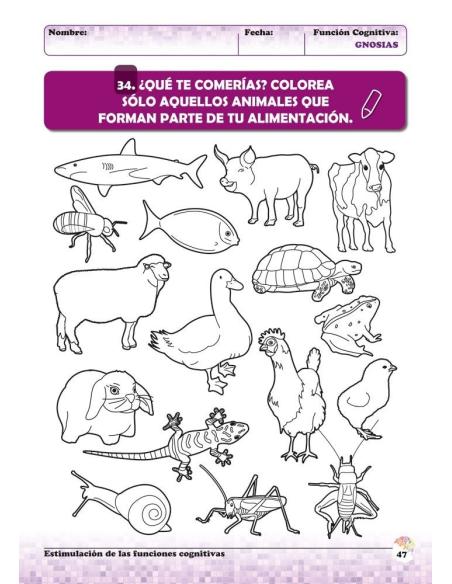 Estimulación de las funciones cognitivas. Nivel 2. Cuaderno 3: Gnosias