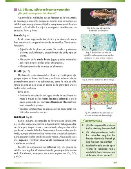 Ciencias de la naturaleza: Biología y geología 1. Educación Secundaria. Libro de aula