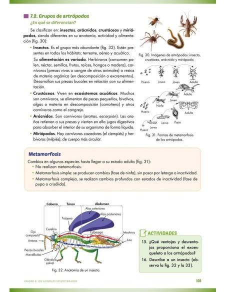 Ciencias de la naturaleza: Biología y geología 1. Educación Secundaria. Programa de refuerzo