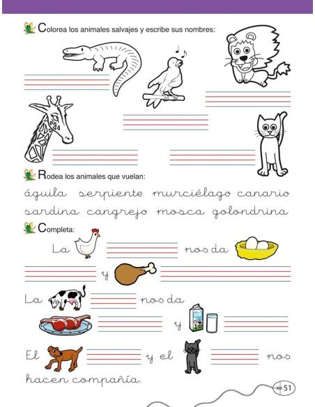 Lengua castellana y literatura 1. Educación Primaria. Libro C