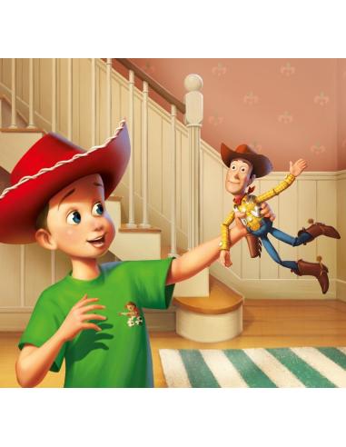 Toy Story · Cuento con pictogramas