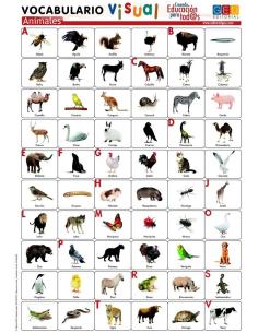 Lámina de vocabulario visual. Animales