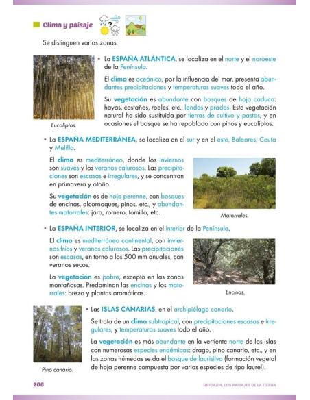 product name product name