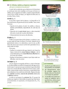 Digital docente - Ciencias de la naturaleza: Biología y geología 1. Educación Secundaria. Libro de aula