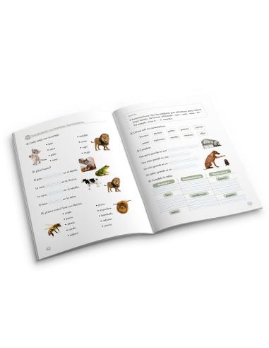 Lecturas comprensivas 11