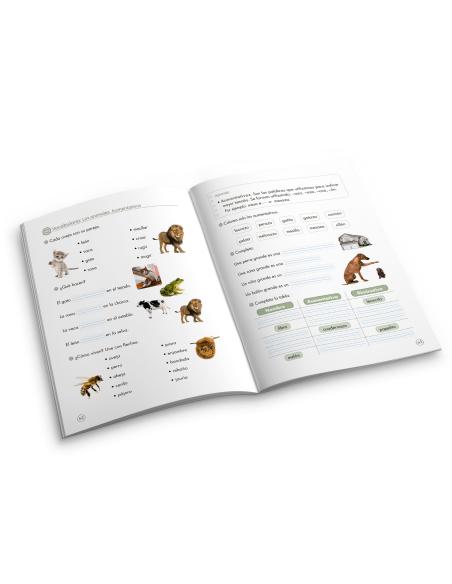 Lecturas comprensivas 11