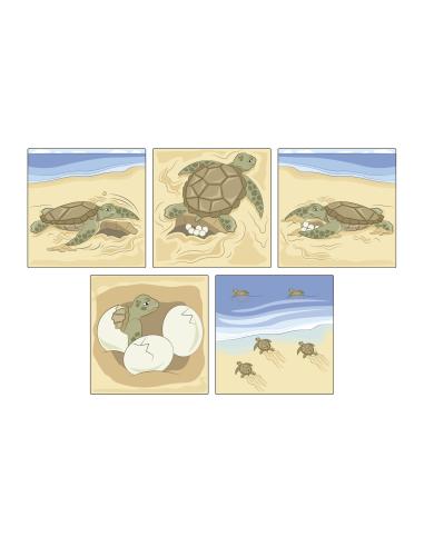 Comprensión con pictogramas. La naturaleza