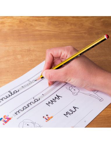 El caminito de las letras · Cuaderno 2 · Pauta...