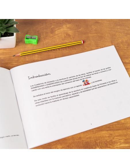 El caminito de las letras · Cuaderno 4 · Cuadrícula destacada 6 mm