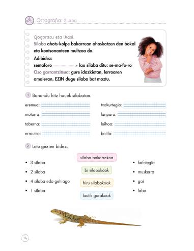 Irakurgai ulergarriak 13