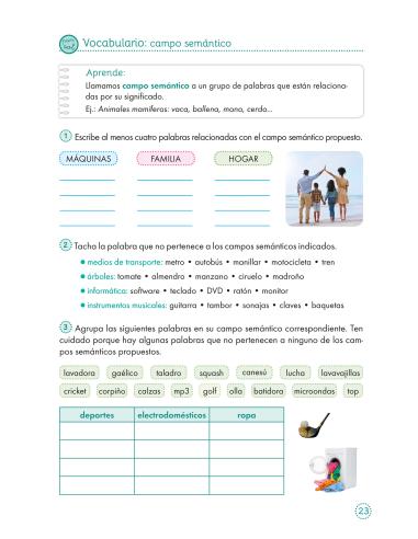 Lecturas comprensivas 17