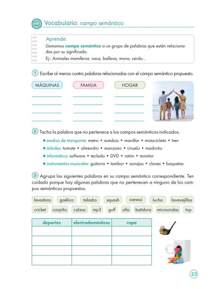 Lecturas comprensivas 17