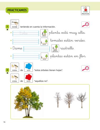 LENGUA CASTELLANA Y LITERATURA 2 PRIMARIA....