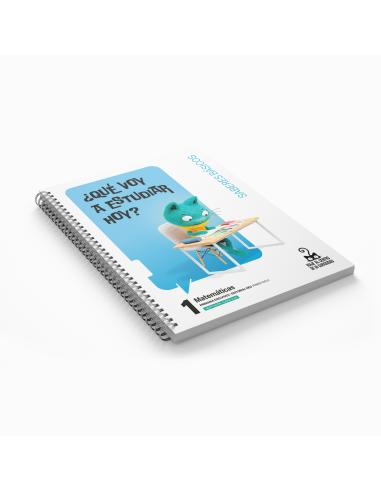 MATEMÁTICAS 1 PRIMARIA. ADAPTACIÓN CURRICULAR.