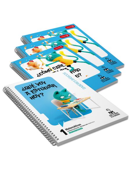 MATEMÁTICAS 1 PRIMARIA. ADAPTACIÓN CURRICULAR.