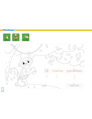 Preescritura 8