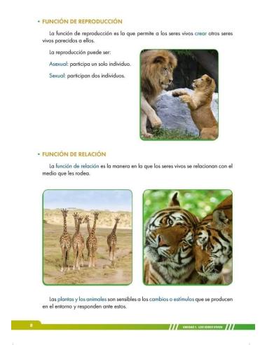 Ciencias de la naturaleza 5. Adaptación curricular con apoyos visuales