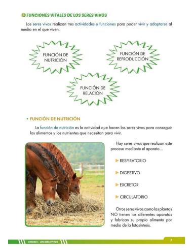 Ciencias de la naturaleza 5. Adaptación curricular con apoyos visuales