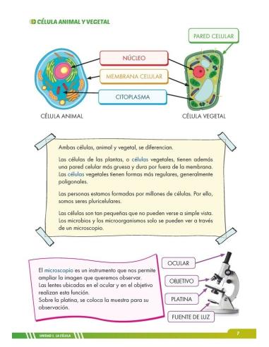 Ciencias de la Naturaleza 6. Adaptación curricular con apoyos visuales