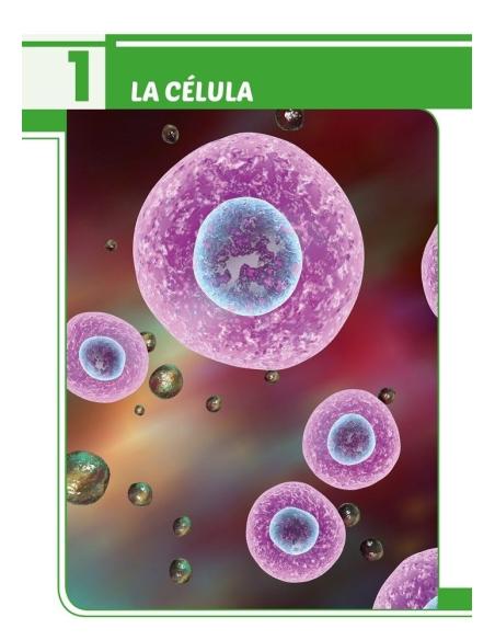 Ciencias de la Naturaleza 6. Adaptación curricular con apoyos visuales Ciencias de la Naturaleza 6. Adaptación curricular con apoyos visuales