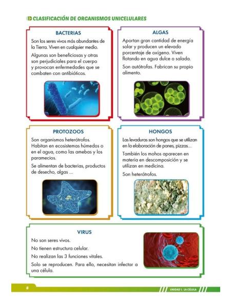 Ciencias de la Naturaleza 6. Adaptación curricular con apoyos visuales Ciencias de la Naturaleza 6. Adaptación curricular con apoyos visuales