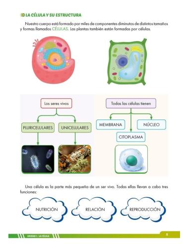 Ciencias de la Naturaleza 6. Adaptación curricular con apoyos visuales