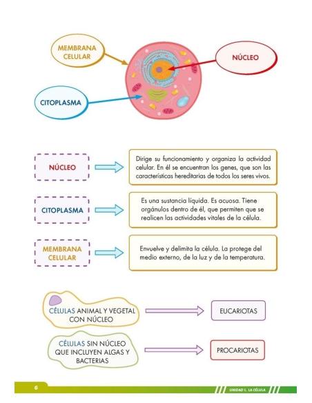 Ciencias de la Naturaleza 6. Adaptación curricular con apoyos visuales Ciencias de la Naturaleza 6. Adaptación curricular con apoyos visuales
