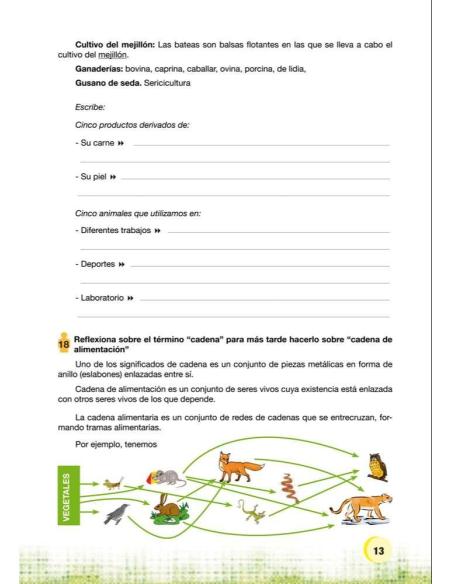 Palabras. Expresión y vocabulario · Nivel 1. Cuaderno 2: El mundo animal Palabras. Expresión y vocabulario · Nivel 1. Cuaderno 2: El mundo animal