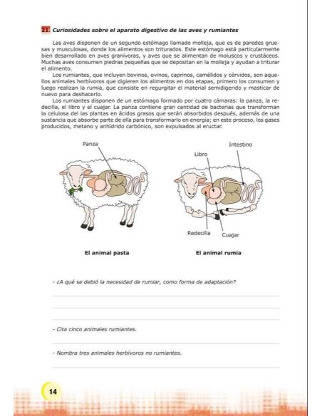 Palabras. Expresión y vocabulario · Nivel 2. Cuaderno 2: El mundo animal