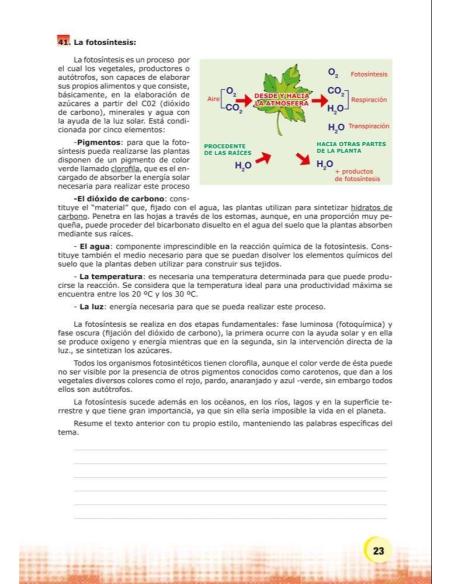 Palabras. Expresión y vocabulario · Nivel 2. Cuaderno 3: El mundo vegetal Palabras. Expresión y vocabulario · Nivel 2. Cuaderno 3: El mundo vegetal