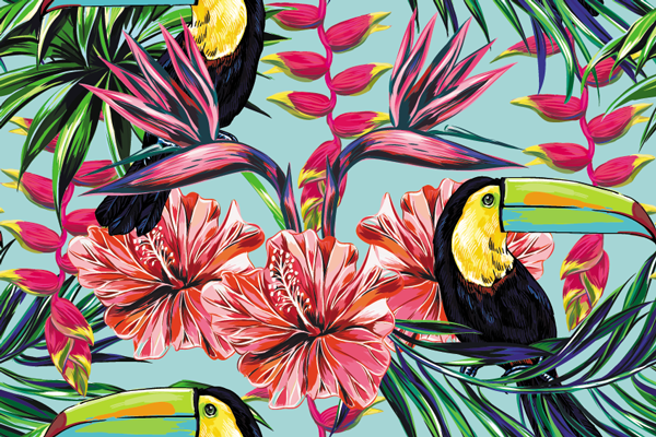 Cuento Picotón, el tucán de enorme pico