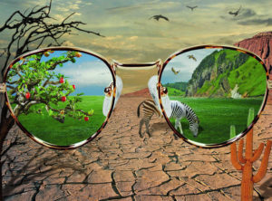 Las gafas con las que ves el mundo.